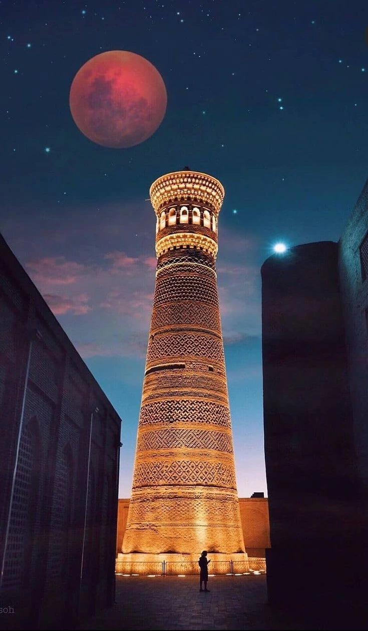 Study MBBS in uzbekistan